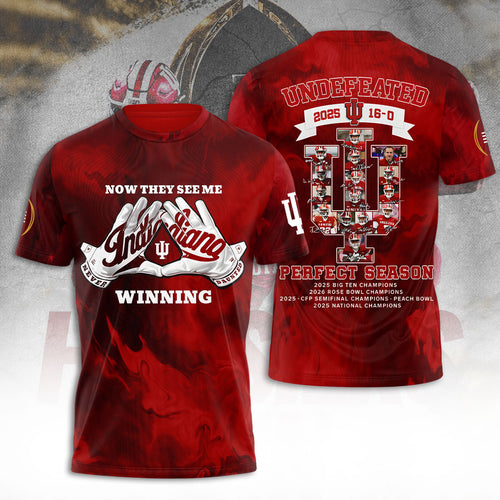 Indiana Hoosiers Football 2025 National Champions 3D Apparel – TANTN20464