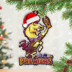 Brisbane Broncos 2025 Premiership Custom Shape 2-sided Acrylic Ornament – TANTN17533