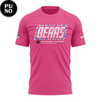 Chicago Bears Crucial Catch 2026 Follow Jesus Pink Hoodie T-Shirt