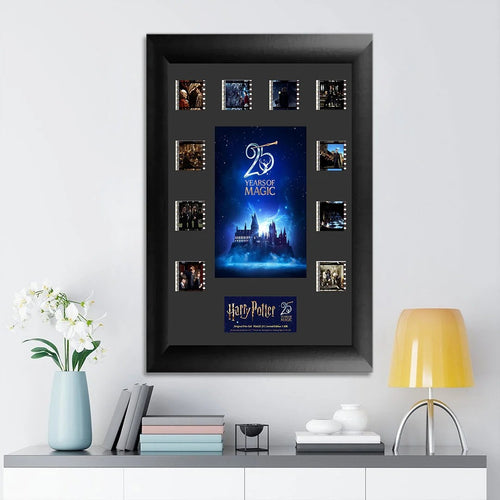 Harry Potter 25th Anniversary Rectangle Canvas With Inner Frame – TANTN24981