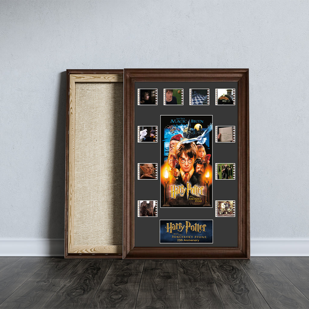 Harry Potter 25th Anniversary Rectangle Canvas With Inner Frame – TMTHU5145