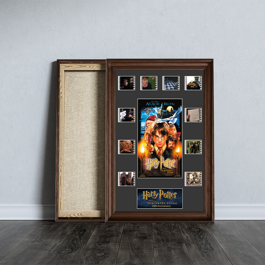 Harry Potter 25th Anniversary Rectangle Canvas With Inner Frame – TMTHU5145