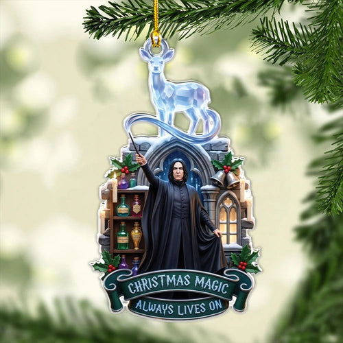 Harry Potter Custom Shape 2-side Printed Acrylic Ornament – MAITM15486