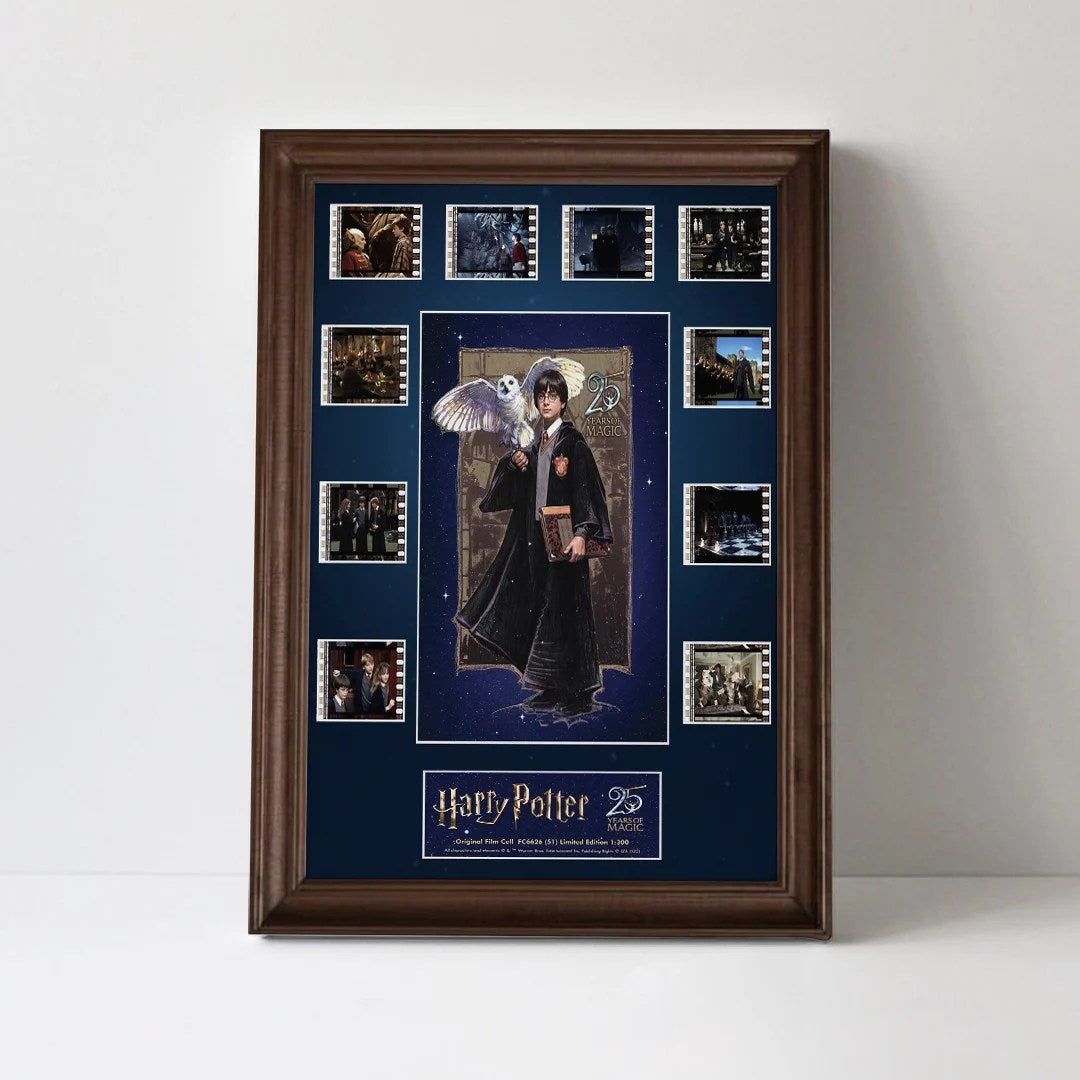 Harry Potter 25th Anniversary Rectangle Canvas With Inner Frame – TMTHU8633
