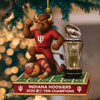 Indiana Hoosiers Football 2025 Big Ten Champions Custom Shape 2-sided Acrylic Ornament – MAITM14008