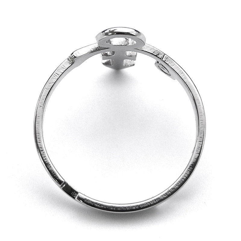 Prince Memorial Symbol Stainless Steel Ring – MAITMDROP055