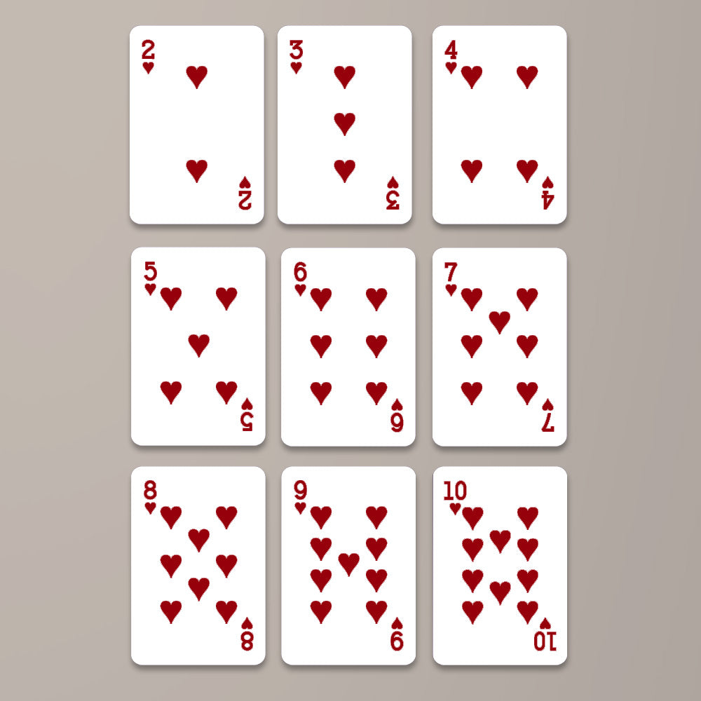 Resident Evil Requiem 3D Playing Cards Deck – GNE5973