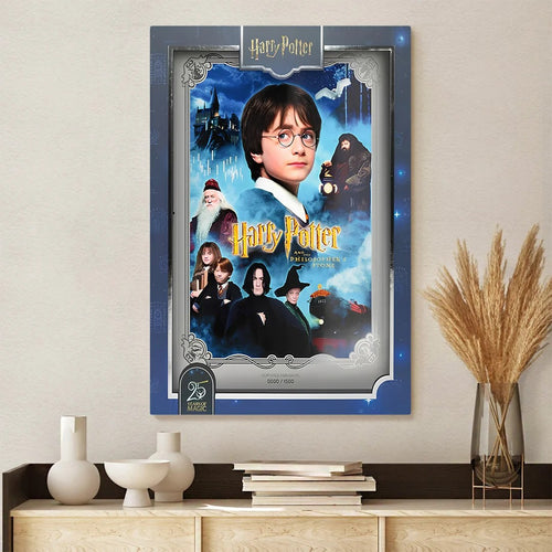 Harry Potter 25th Anniversary Rectangle Canvas With Inner Frame – TANTN24978