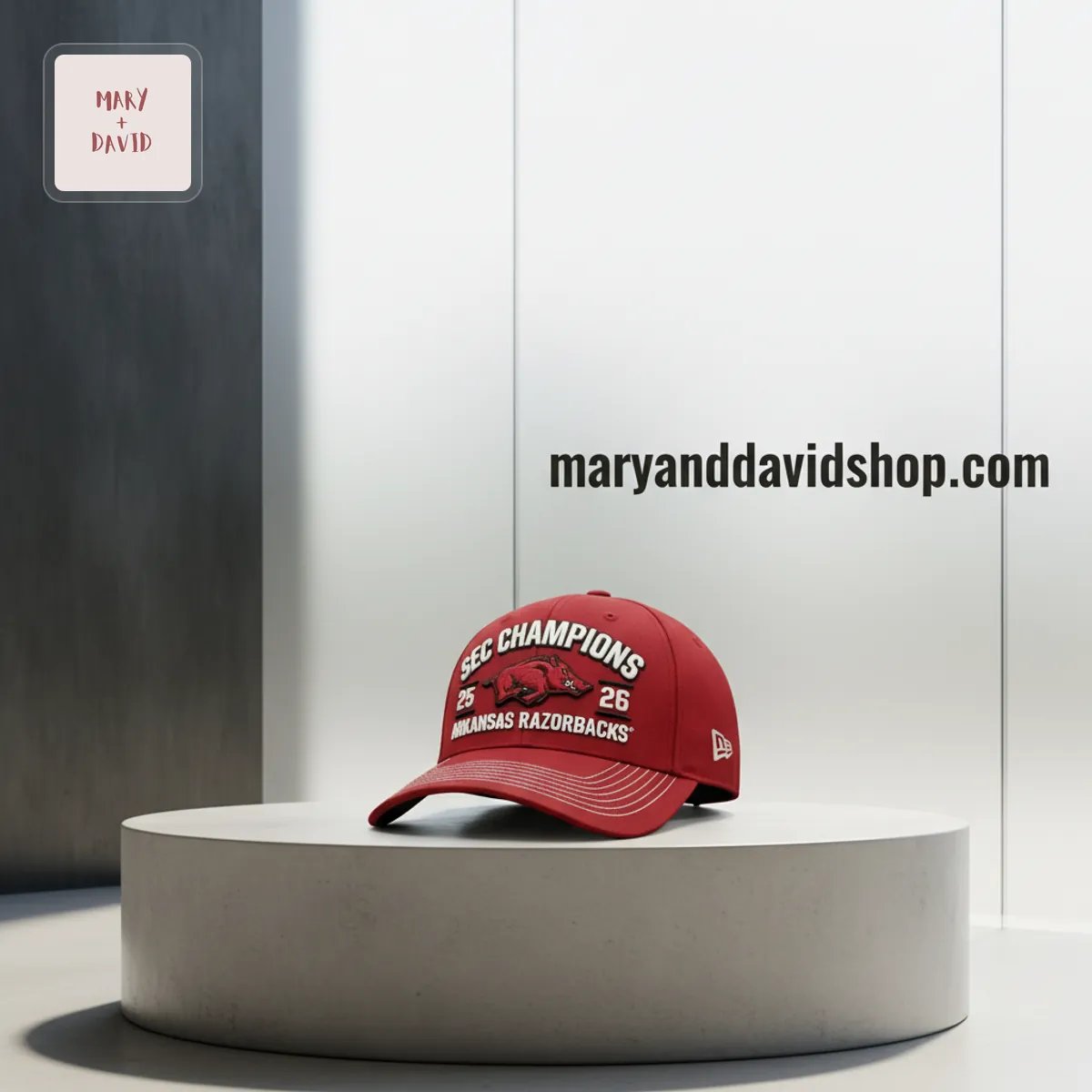 Arkansas Razorbacks SEC Champions 25-26 New Era Baseball Cap