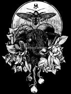 Krogl Shirt