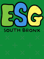 ESG South Bronx 70s Hip Hop Punk Tribute Shirt