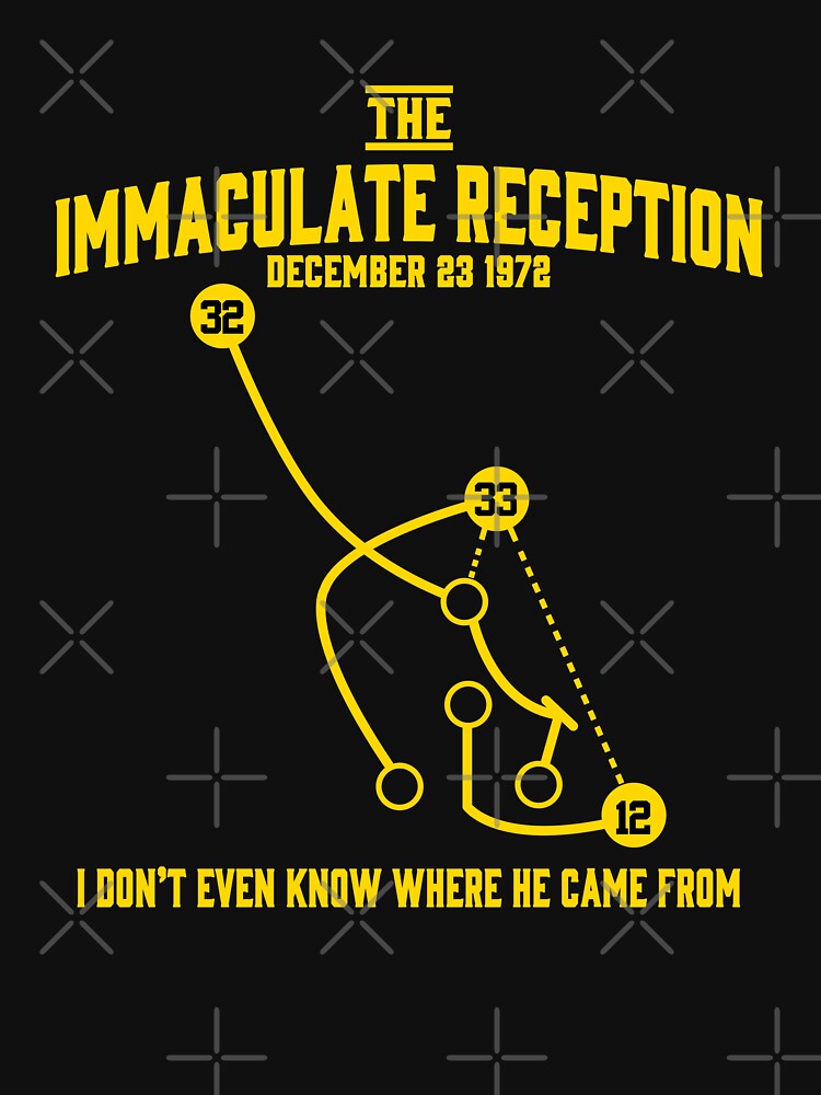 The Immaculate Reception P I T T S B U R G H Team Shirt