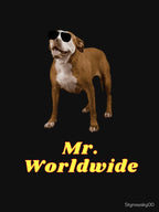 Mr Worldwide Shirt
