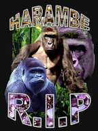 R I P Harambe Vintage Hip-Hop Shirt