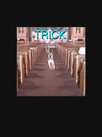 Alex G Trick Shirt