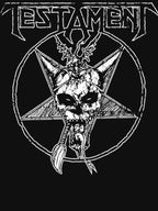 Will Shirt