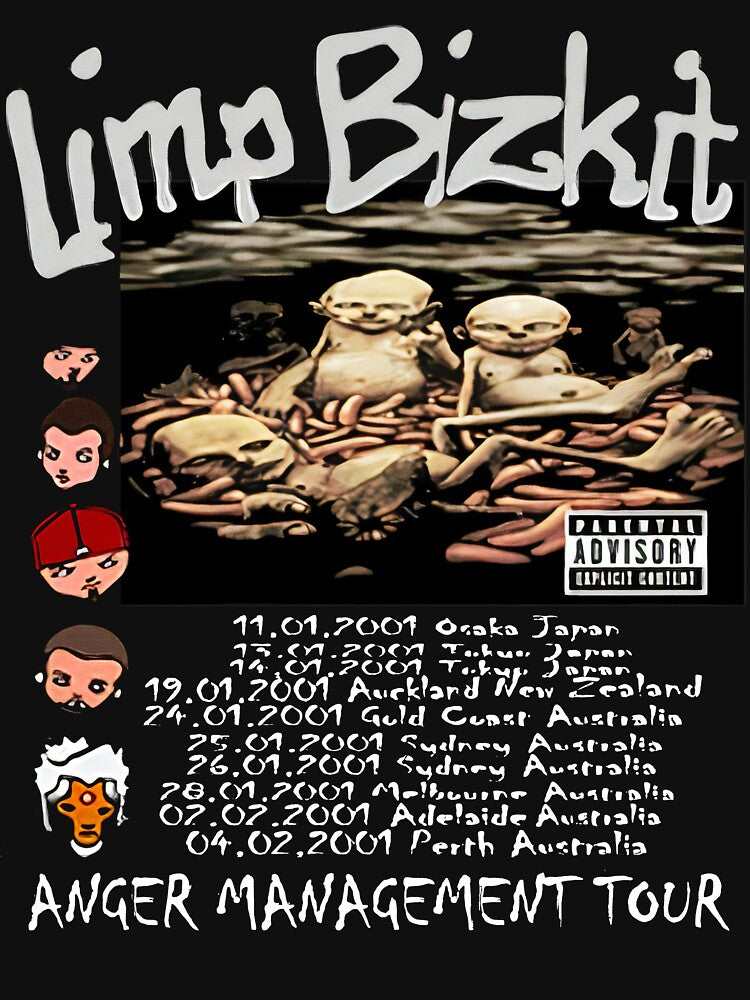 Vintage Fan Limp Bizkit Shirt