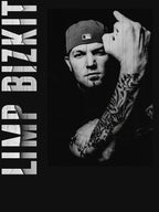 Limp Bizkit Vintage Distressed Shirt