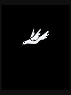 Thursday Dove Shirt