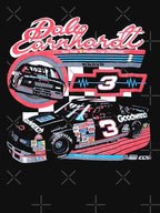 Dale Earnhardt 4 Winston Cup Champions Shirt