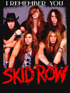 Sk Id Ro W Dynamic Rock Artwork Full Of Youthful Rebellion Spirit Shirt