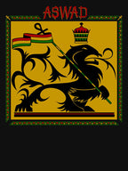 Aswad Reggae Shirt