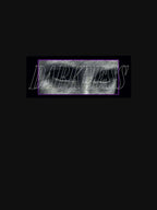 Sweet Spine - Darkness Niche Band Shirt
