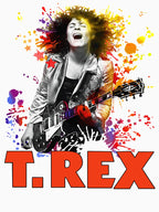 Birthday T Rex Rock Band Marc Bolan Retro Cool Top Shirt