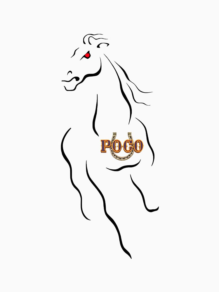 Logo POCO BAND - Exclusive Shirt