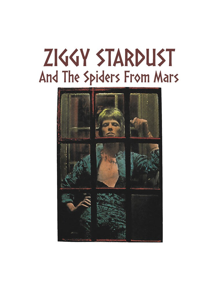 Stardust And The Spiders From Mars Vintage Rock Shirt
