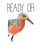 Ready Or Knot Red Knot Shirt